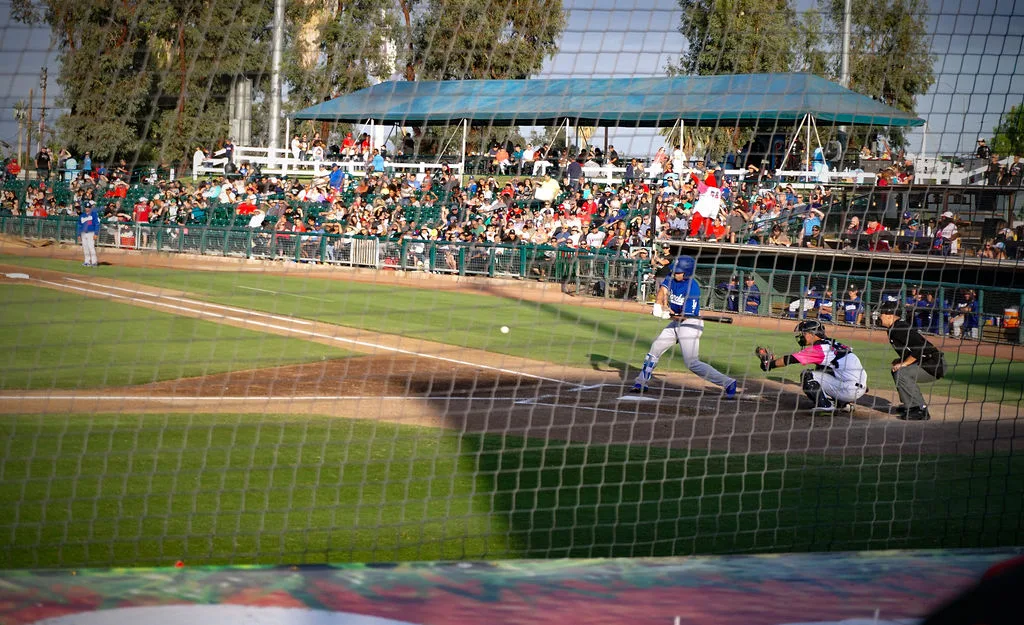 Baseball batter at a Southern California stadium with a packed crowd behind
