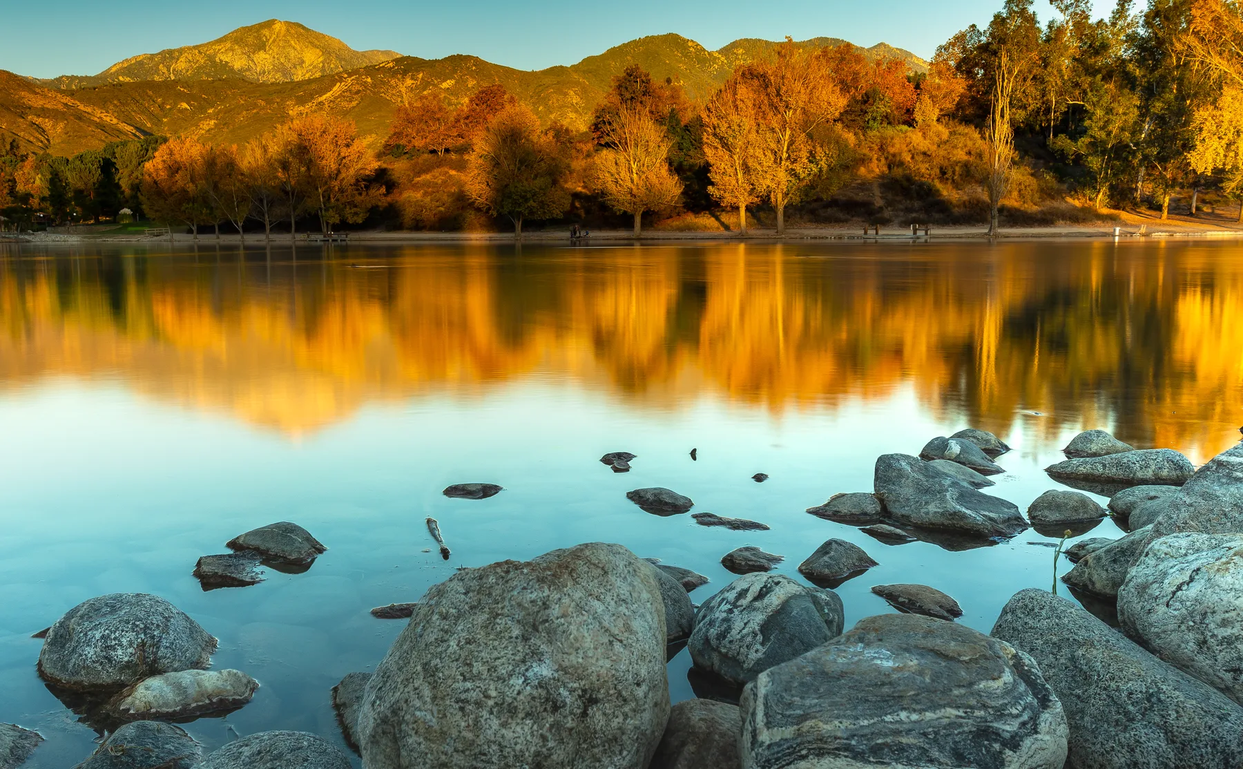 Nature photography in the hills above Yucaipa CA