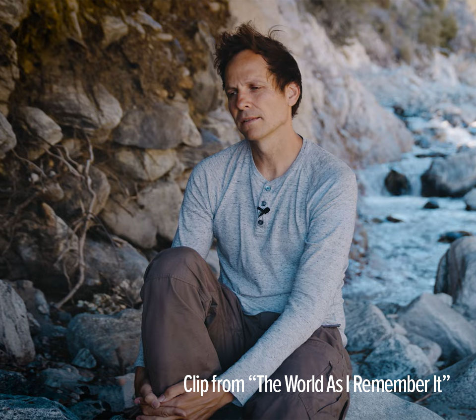 Explore Our Captivating Video Gallery