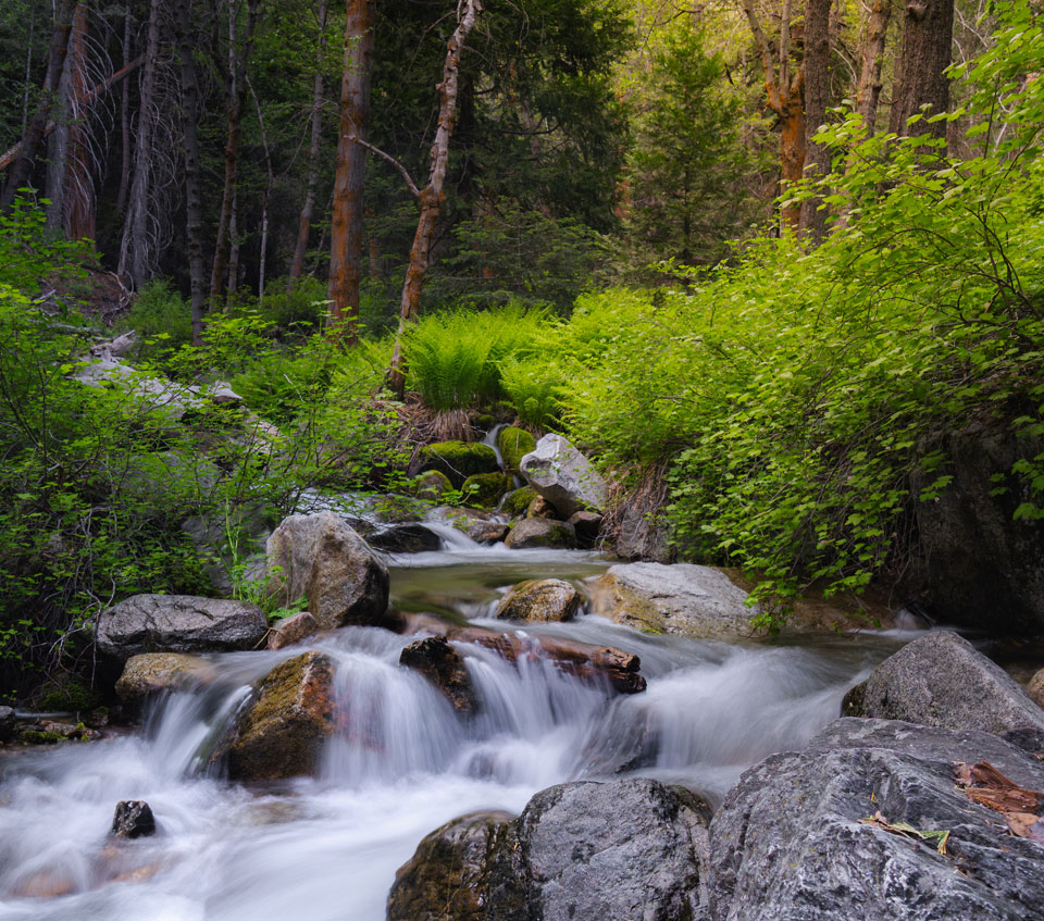 Discover Our Diverse Photo Gallery