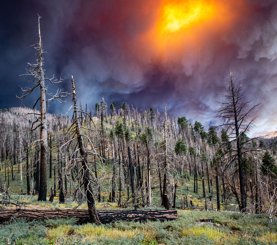 Explore Our Wide Range of Photos